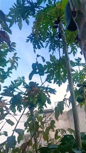 Aaj Ka Mausam Alwar mein