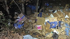 FedEx driver questioned about hundreds of packages found in Alabama ravine