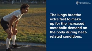 11 reactions | Extreme heat can hurt the whole body. Dr. Bryan Beaver, emergency medicine physician, breaks down what high temperatures do to different organs. | The University of Kansas Health System | Facebook