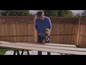 Wagner Control Spray 250 Sprayer - Launch