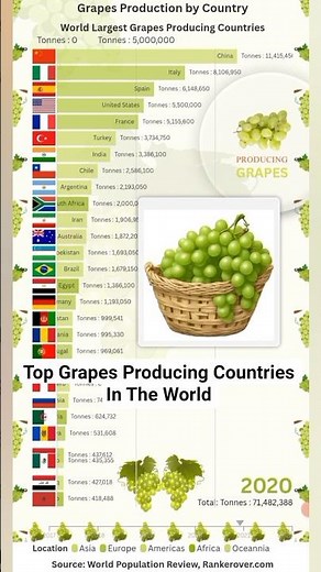 Top Grape Producing Countries #grape