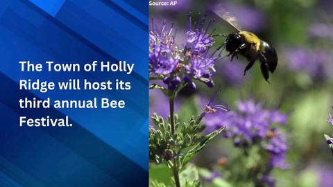 Holly Ridge prepares for third annual Bee Festival