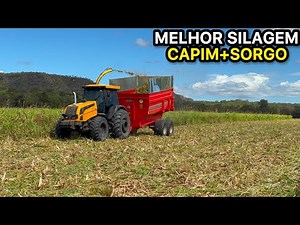 SETTING UP THE SILAGE PILE // SORGHUM HARVEST ON THE 12TH!