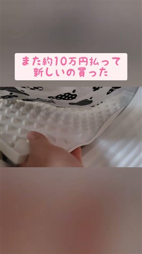 約10万円の出費petsnowy全自動猫トイレ