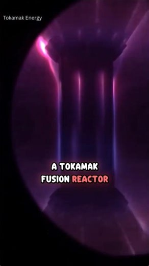 Inside of a Plasma Fusion Reactor