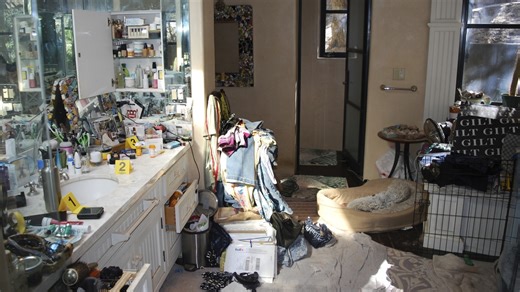 Records show Gene Hackman's wife researched symptoms of illness days before her death