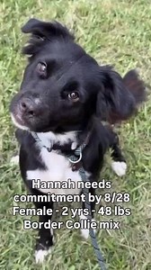 4.1K views · 233 reactions | 8/28 DEADLINE- FORT LAUDERDALE-...