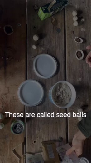 Basilica Bio on Instagram: "What is a seed ball and why are they useful? 🌱 These little clay pockets are filled with soil and native seeds or bioremediators! Throw them anywhere that looks like it could use a boost of biodiversity 🌿 When it rains the clay melts away and the seeds can grow! 🌧️ Thank you to everyone who came to our Rewilding workshop! We had a great time connecting with our community and learning more about the importance of biodiversity 🍁"