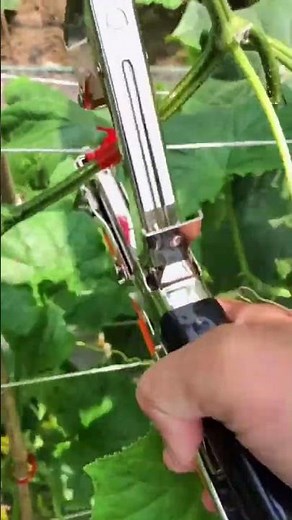 Plant Hand Tying Machine | Plant Tying Tool Garden Vine Tying | Stapler for Vegetable Binding
