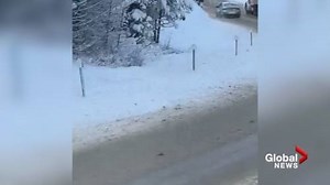Reckless B.C. driver travels on the wrong side of Highway 3