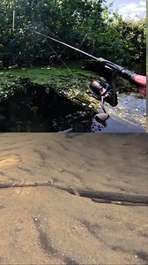 10K views · 100 reactions | Watch this perch engulf the lure  Awesome summer fishing as @the_ginger_fisherman explores a small river with Micro Lures, capturing the action with brilliant underwater strikes as this perch ignores a minnow to home in on the lure! These little lures are a great way to start your lure fishing journey and perfect for days when you just want constant bites. | Fox Rage | Facebook