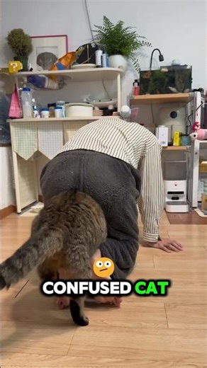 New yoga pose unlocked The human cat tail 🤔