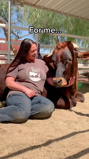 We really like cows 🐮 #corn #itscorn #cornkid #cowtok #cows #friendsnotfood #choosecompassion