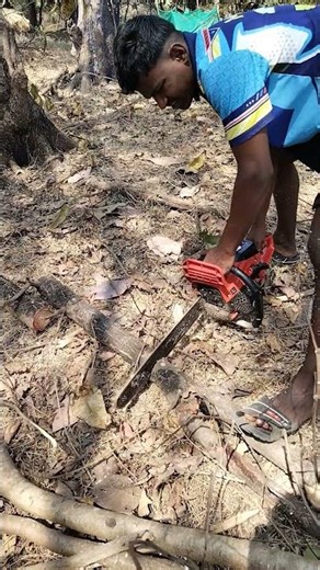 Tree branches and trunk cutting #cuttingtree