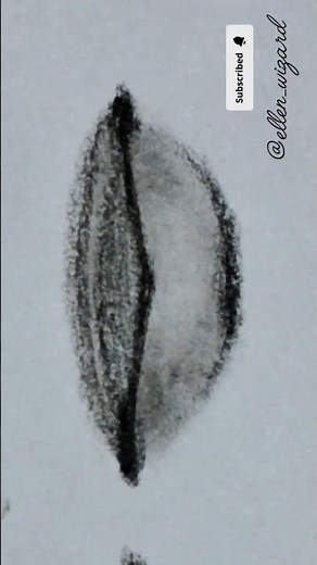 Learn to Draw Lips Like a Pro! 💋 | Realistic Lips Shading Tutorial #shorts