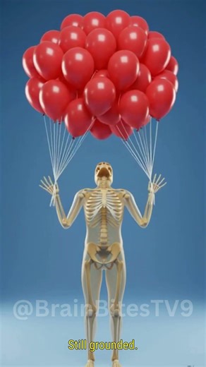 How Many Helium Balloons Can Lift You? #viral #facts #human #shorts
