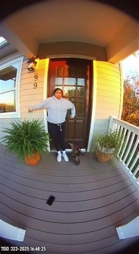 Hawk Attacks Teen Filming TikTok! #wildlife