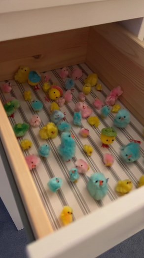 chickychicken on TikTok