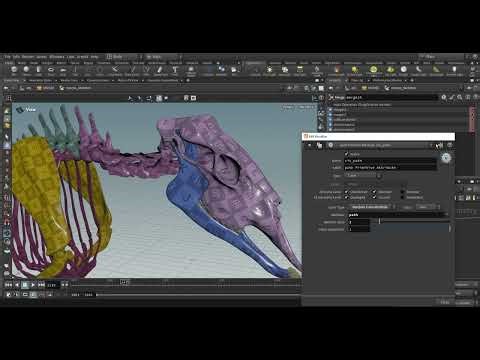 LOOSE MOOSE 3 | Skeleton Geometry