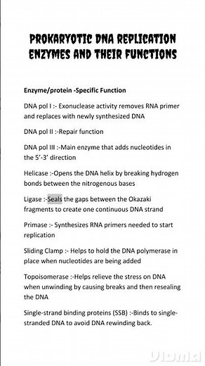 DNA Replication Enzymes | Molecular biology
