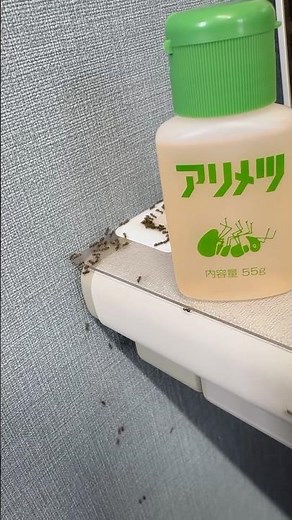 アリメツ（殺蟻剤）の効果