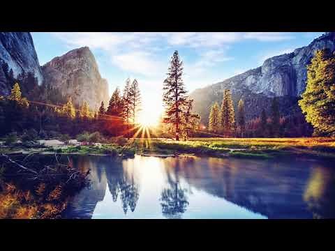 4k Live Wallpaper Desktop