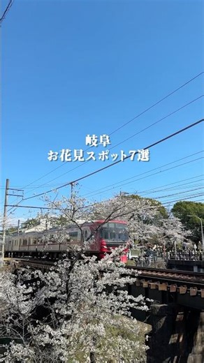 岐阜お花見スポット7選🌸