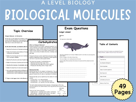 BIOLOGICAL MOLECULES Revision Booklet (A Level Biology) | Teaching Resources