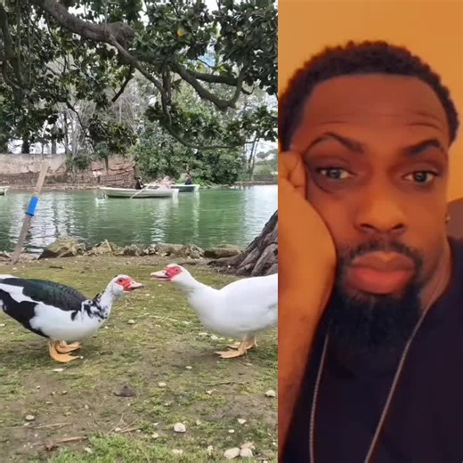 #djpolice256🤟 #funny #for #ni #creatorsearchinsights | police