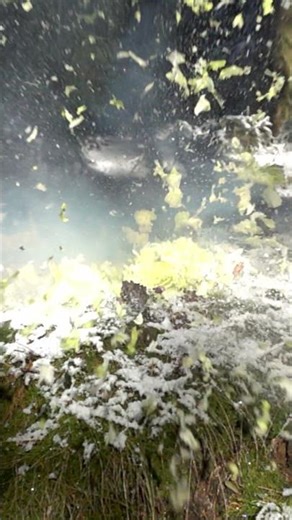 lettuce explosion slowmotion #shorts #fireworks #experiment