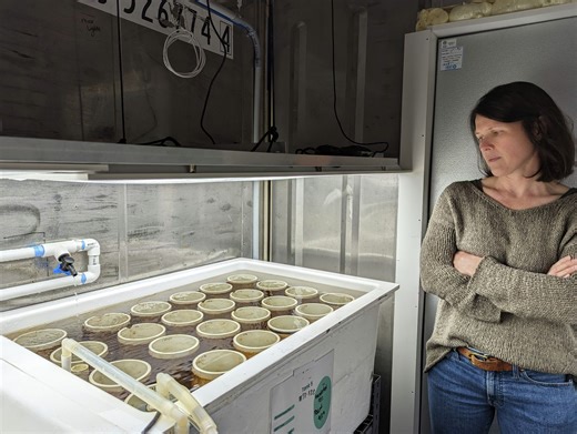 Blue technology companies are changing the way CT residents work and live near the ocean