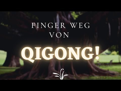 STAY AWAY from QIGONG! #1 | Magstrauss