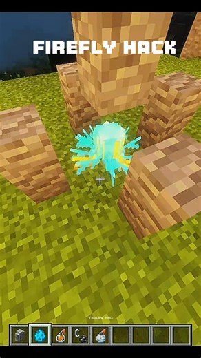 Minecraft Invisible Fire Hack 🥶☠️ #minecraft #shorts