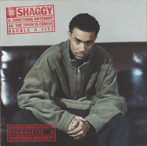 Shaggy - Something Different / The Train Is Coming