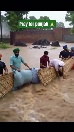 pray for punjab #shorts #youtubeshorts #trending #viralvideo #reels #help #emostional #punjab