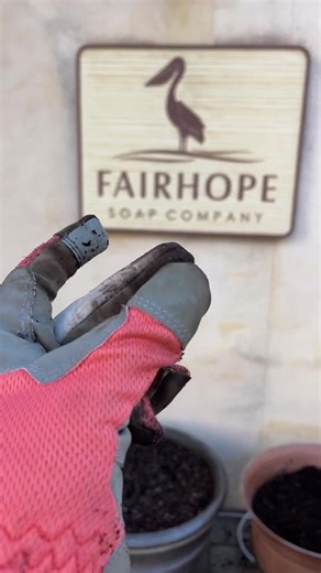 Our Spring/Summer Collection will be in full BLOOM this Friday the 13th! 🌸🌷 🌼🌱💐🌹🌺🌻 We hope everyone enjoys our beautiful flowers we planted around our storefront! #flowers #spring #springbreak #soap #handmade