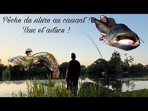 Pêche du silure au cassant ! Truc et astuce !