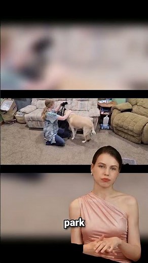 Is This Dog Knee Brace Worth It? ACL Injury & Joint Pain Relief for Dogs