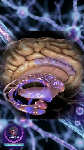 How Your Brain Cells Talk: The Secret Language of Neurons