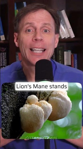 How Lion’s Mane Supports Cognitive Function