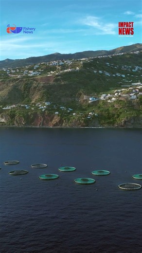 🐟 Think Fish Farming Is Only About Pangas, Tilapia, or Rohu? Think Again!