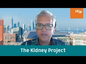 The Kidney Project: Building an Implantable Bioartificial Kidney