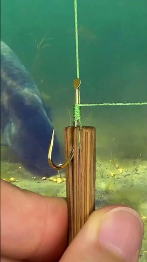 BỎ TÚI Cách buộc lưỡi câu cá trắm đen, cá trôi, chép - fishing knots for hooks #fishing #shorts
