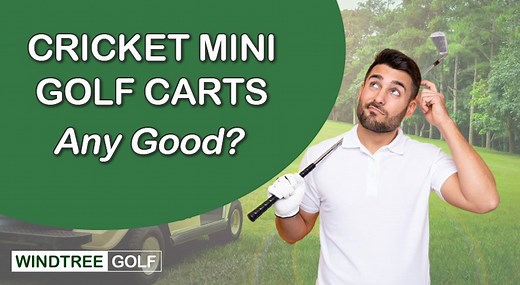 Cricket Mini Golf Cart Reviews: (Should You Use Them?)