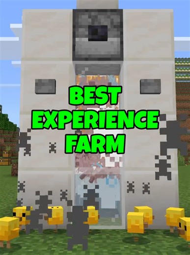 Minecraft: The New Best Farm Experience!