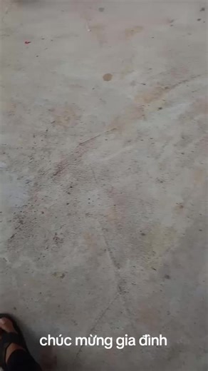 Video của Hoài Dân (@dan_nguyen12345) với bản nhạc Bài Ca Xây Dựng - Yên Nhiên