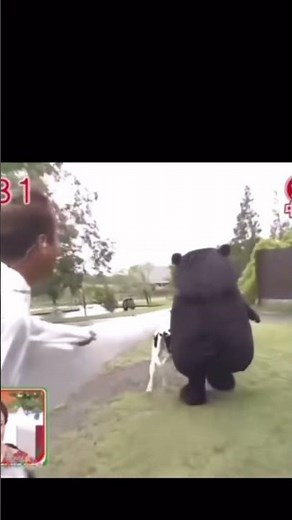 くまモン放送事故集w