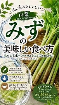今日はみずの食べ方だよー #みず#山菜#レシピ#mizu#recipe