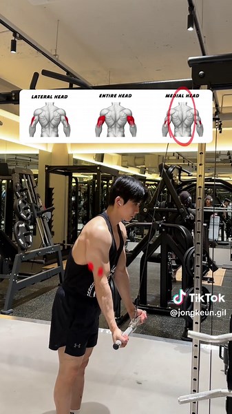 삼두 운동 그립별 자극 방법 세 가지