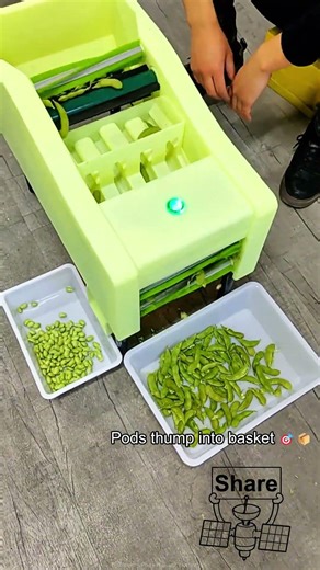 Edamame Pods Harvest Speedrun